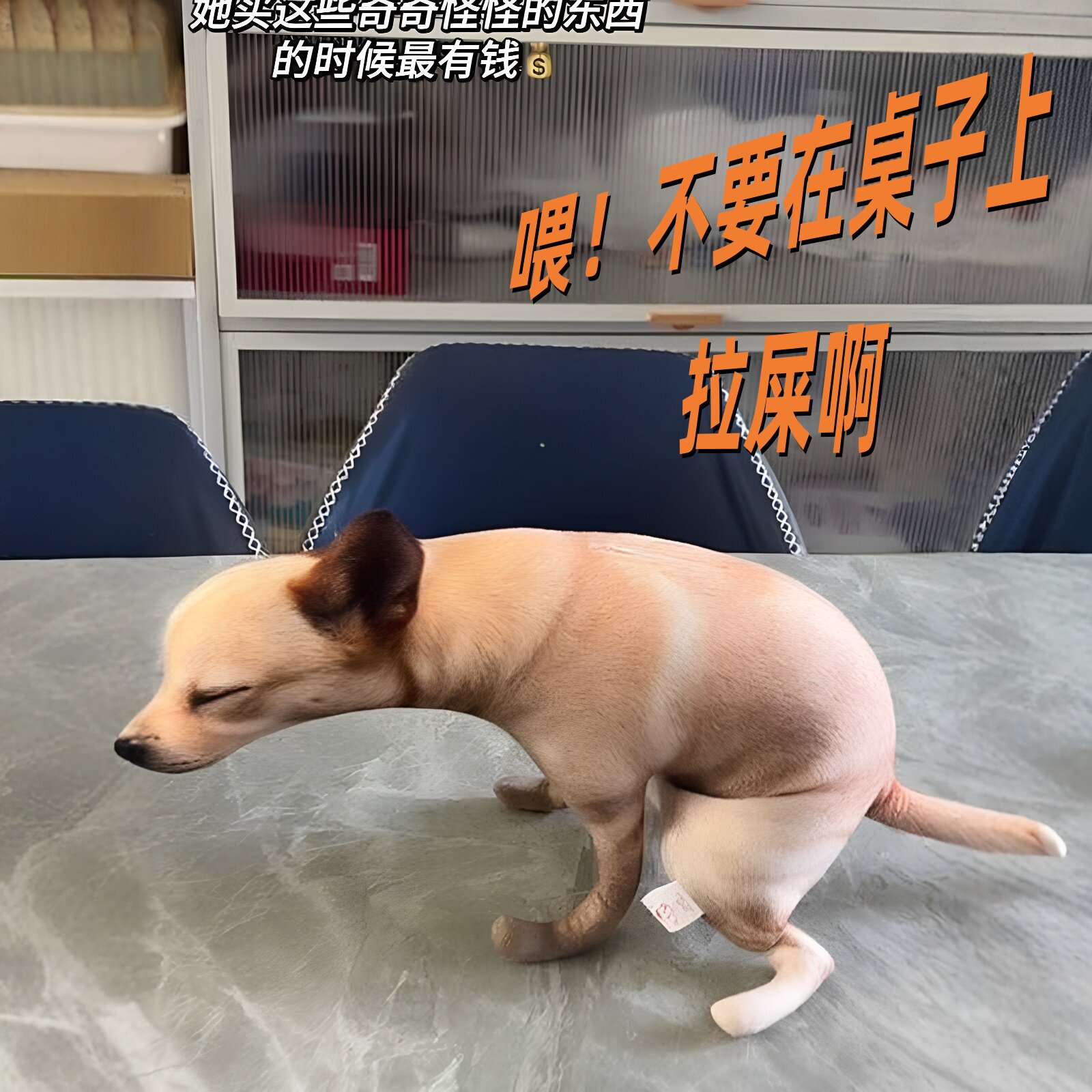喂不要在桌子上拉屎啊！狗狗抱枕图片