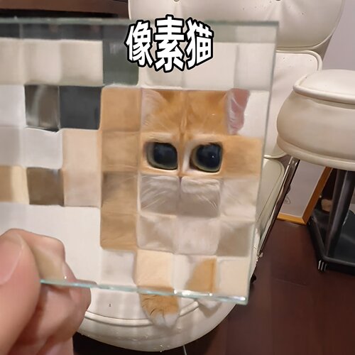 捕获一只像素猫！马赛克艺术玻璃