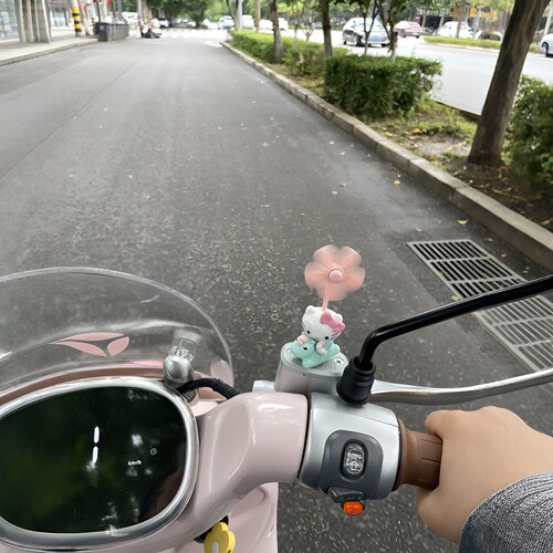 骑电动车也要有仪式感！风车摆件