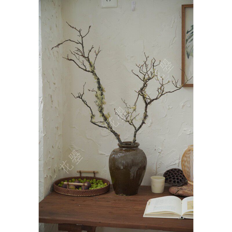 花曌 松萝枝干支干树枝诧寂风造景客F厅书桌面装饰枯枝家居瓶插花