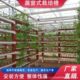大棚园区基质栽培设备高架种植水培设备蔬菜种植箱无土栽培管道