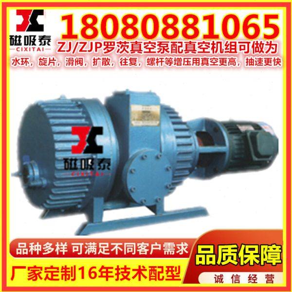 南通ZJP-300罗茨真空泵 罗茨式真空泵机组 真空铁矿厂ZJ罗茨泵,五金/工具,其它泵类型,淘宝优惠券,粉丝福利购,淘宝优惠卷