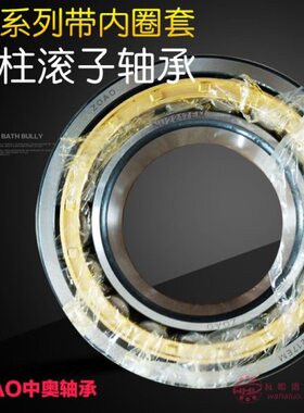 圆柱滚子轴承NU405 406 407 408 409 410 411 412 413EM