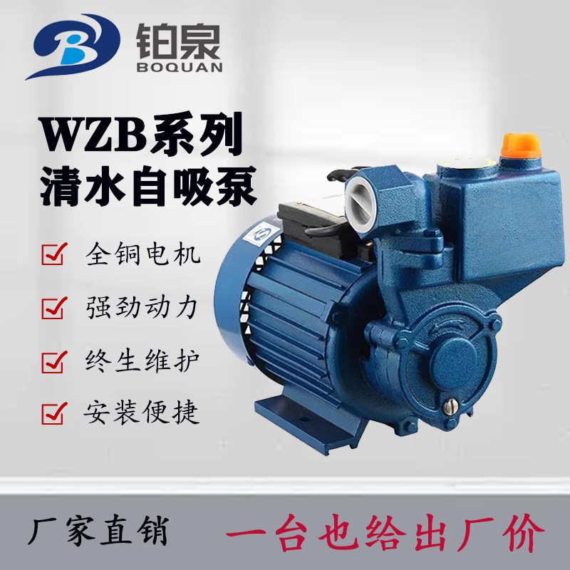 清水自吸泵220V自吸式家用增压泵农用水井抽水机工业管道抽水泵