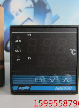 上海亚泰仪表有限公司NG6000温控仪NG-6412V(N) PT100温控器亚泰
