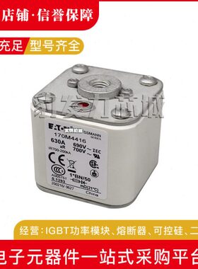 170M4614 170M4615 170M4616 170M4617 170M4618 170M4619熔断器