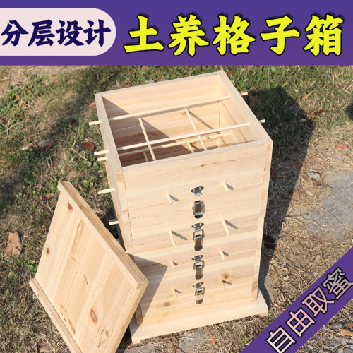 格子蜂箱分层设计木质养蜂箱土养