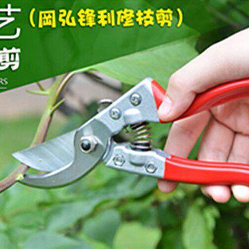 农用弘CHH修剪树枝剪园岡剪刀花林粗枝剪果树修枝剪园艺工具枝锯