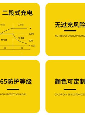 14.6V8A29.2V4A48v21h电动自行车充电磷器摩a175托车酸铁锂充电器