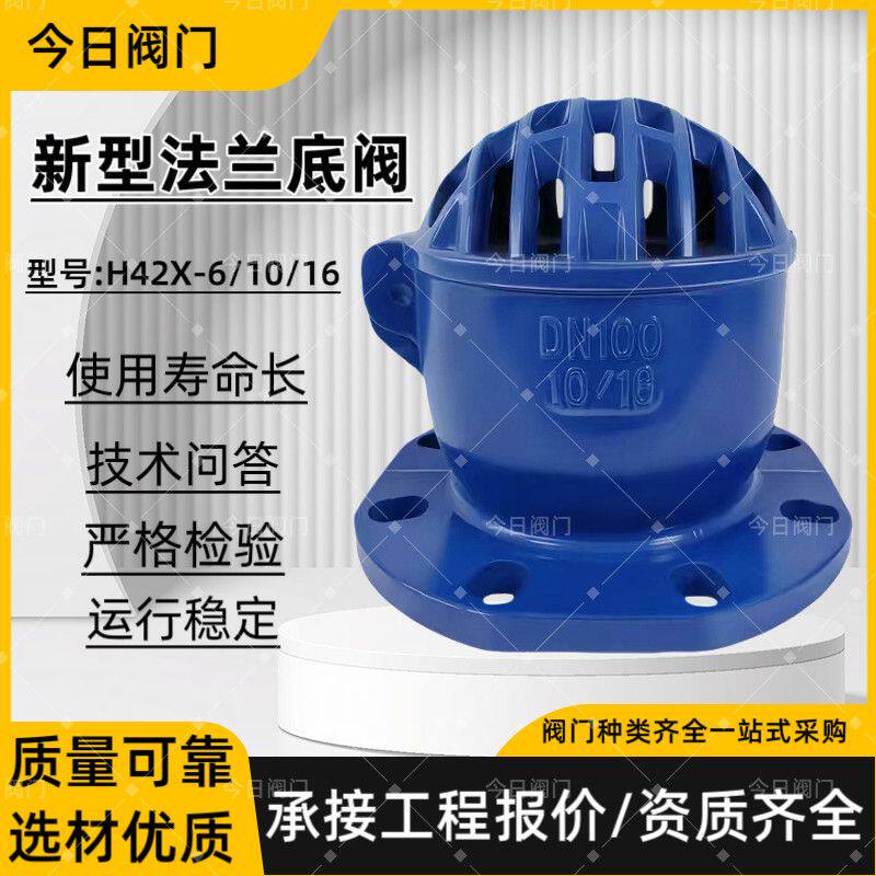 H42X-10/16新型法兰底阀水泵吸水止回阀铸铁法兰底阀DN80 100 150