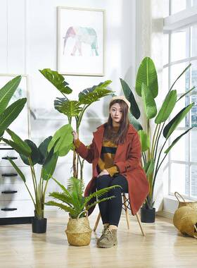 仿真植物蕉北欧地风假树仿生绿植盆栽摆旅人件室内客厅落装020230