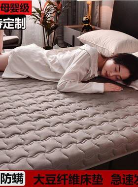 A类大纤维床垫60*70*751*080*85*90*110*130*70*VQE1豆80*20