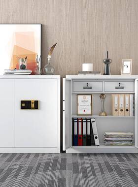 黑色柜电子办公财务资料指TUP纹国宝锁文锁件凭证档案室柜钢制加