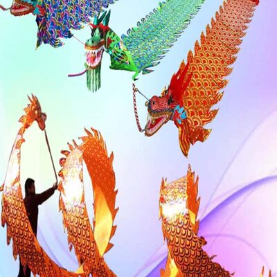 广场初学健身龙甩龙舞龙彩带甩彩龙彩条中老年烫金舞龙龙头抖龙