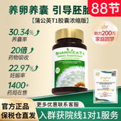 shawkea浓缩蒲公英t1胶囊口服液松康泉卵子质量养囊降FSH高龄试管