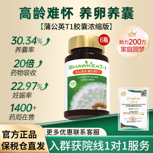 6瓶shawkea蒲公英t1胶囊口服液松康泉卵子质量养囊降FSH高龄试管