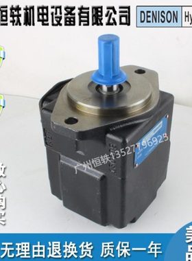 DENISON 丹尼逊 T6D-031-1R00-A1 1R01 1R02 1R03 1L 2R 2L B1