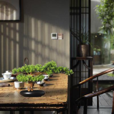 新中式真迎客松禅意摆件客厅M00179仿酒店玄关盆景桌绿饰植小盆栽