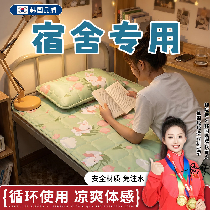 韩国品牌夏季冰枕冰垫学生宿舍儿童午睡枕夏天睡觉凝胶降温冰凉垫