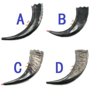 水牛角号角水牛角号牛角号号角牛角吹号角喇叭道具