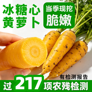 【已过农残检测】新鲜黄色胡萝卜新疆口味手抓饭食材农家自种现拔