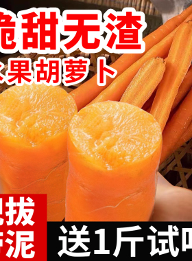 水果胡萝卜新鲜生吃手指帝王系小红萝卜即食农家自种带泥有机肥