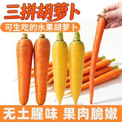 新鲜水果胡萝卜生吃脆甜拇指小红萝卜正宗潍坊水果萝卜青绿萝卜