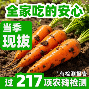 【已过农残检测】新鲜胡萝卜带泥蔬菜水果农家自种有机肥红黄萝卜