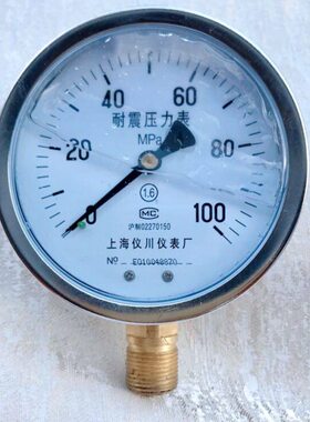 耐震压力表 压力0- 100mpa 100mm 螺纹M20x1.5 YTN-100 径向