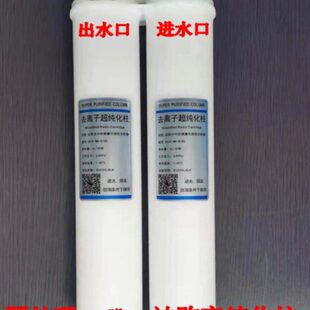 新款实验室超纯水机超纯化柱420 反渗透柱100G预处理滤芯模具树脂
