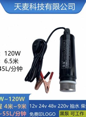 TM12-35-6抽水机直流小水泵12v潜水加油机120W电动抽油器12伏水泵