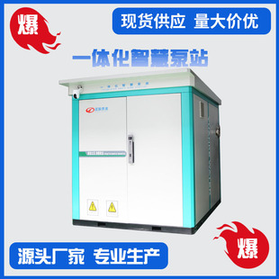 专业定制智慧泵房一体化集成供水设备户外信息化管理供水设备