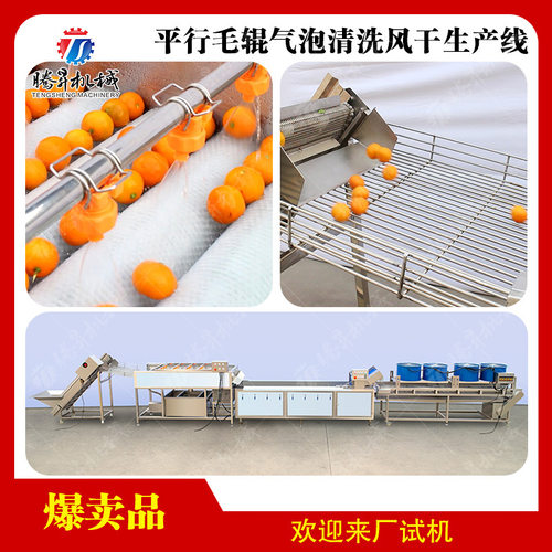 苹果梨橙茄子土豆蕃薯芋头加工线 根茎类瓜果去皮清洗流水线