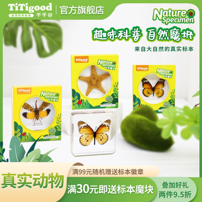 千千谷蝴蝶海洋树脂昆虫标本自然魔块真实动物儿童科普启蒙小玩具