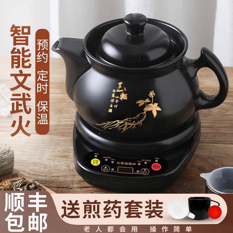 德国FZY全自动煎药壶中药电煎壶家用煲药中医煮熬药罐砂锅炖药煲