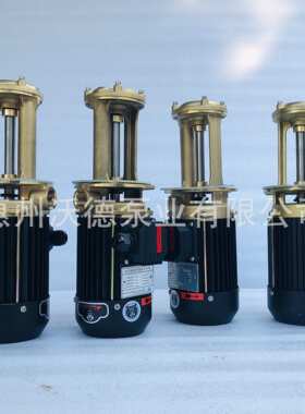 惠沃德WL-10-150立式泵0.75kw铜泵体机床液下泵热油泵专用水泵