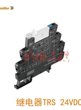 魏德米勒继电器 TRS 24VDC 1CO AGSNO 安全认证固态继电器 1起订