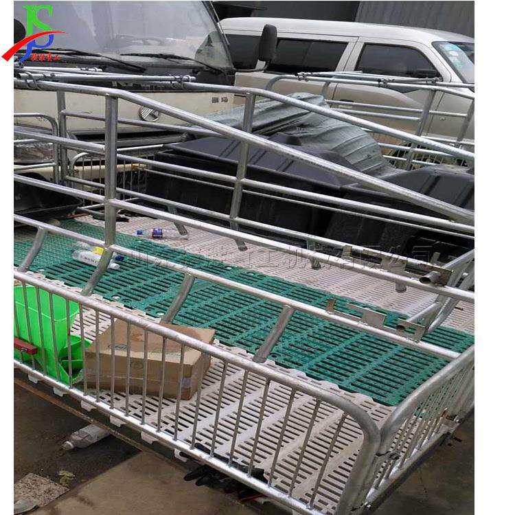 热镀锌管材焊接母猪产床 围栏整体固定式产床 单体母猪分娩床