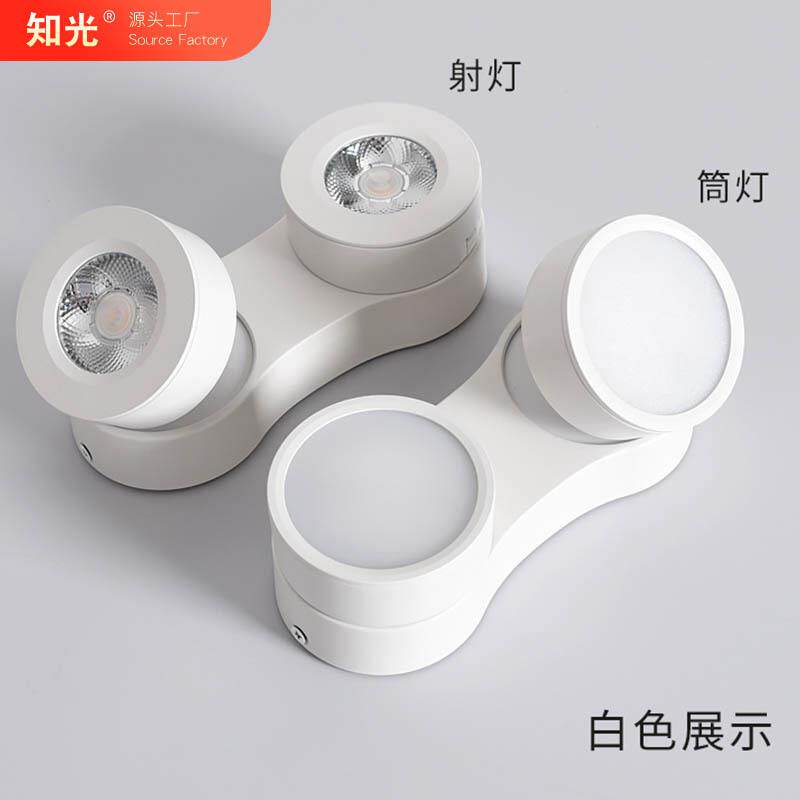 西亚明装射灯可调角度led双头斗胆灯豆胆吸顶式筒灯无主灯照明