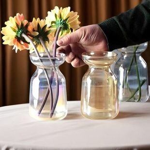 轻奢高级感北欧单只小号玻璃花瓶矮款宽口摆件客厅插花现代简约风