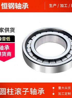 密封双列满装圆柱滚子轴承 SL04  5005PPNNF5005ADA-2LSV