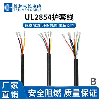 胜牌供应电子线 UL2584-30A/2C过粉护套线 镀锡导线电器设备配线