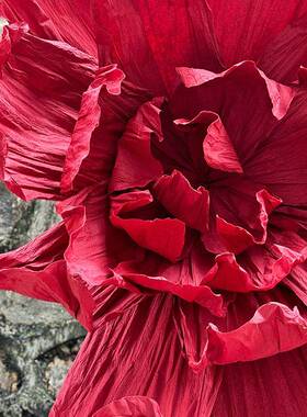 红色婚庆庆场景布大置红色手工褶皱纸花型纸艺花婚礼背景型纸艺巨