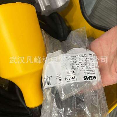 供应意大利REMS管道冷冻机Frigo2F-Zero等全系列型号