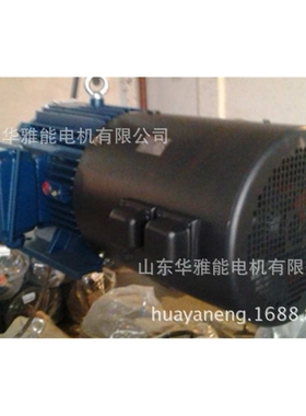 YGM-100L2-4-3电机G高原型YEJ电机特制加长轴，法兰专用，带衬套