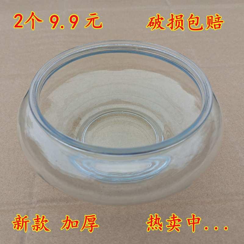 水培花盆铜钱草草水培植物新款加厚水仙碗莲盆栽绿植养花瓶鱼缸