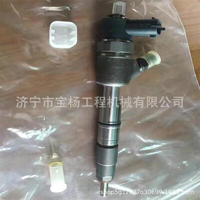 0445110355共轨喷油器0445110509 0433180121喷油嘴总成