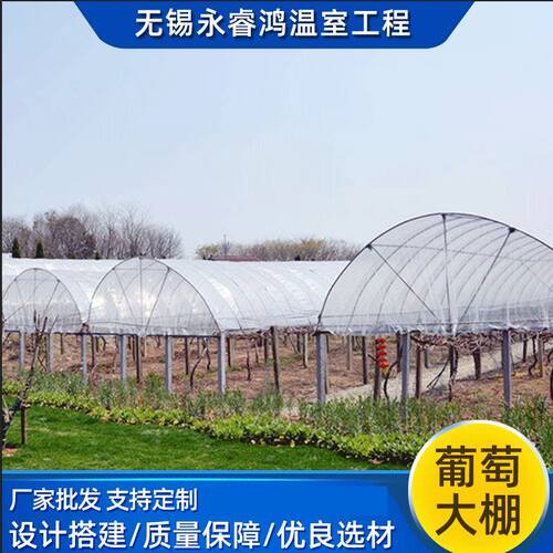 【葡萄大棚】厂家定制葡萄薄膜大棚 现货 葡萄连栋温室大棚