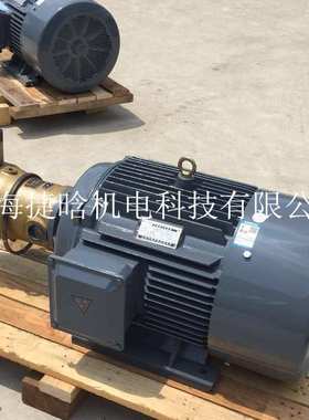 YQB112M-4/CY14-1B柱塞泵电机 4KW-4卧式内插式油压马达