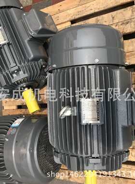 TECO东元电机20HP 15KW 4P AEEFF3  厂家直供
